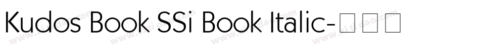 Kudos Book SSi Book Italic字体转换